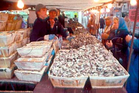 Oyster stall Paris France  Traditional Christmas fare