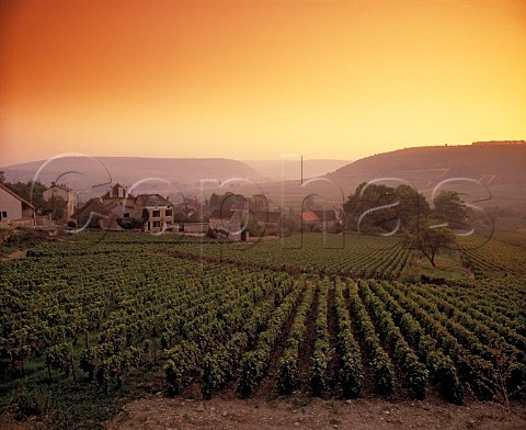 Sunset over village and vineyards of Monthelie Cte dOr France Cte de Beaune