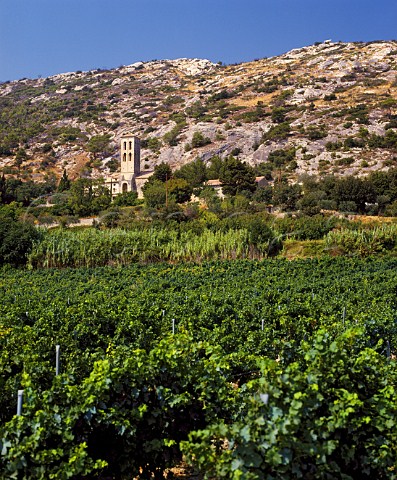 Chapelle Notre Dame dAubune viewed over vineyard at BeaumesdeVenise Vaucluse France   BeaumesdeVenise  Ctes du RhneVillages