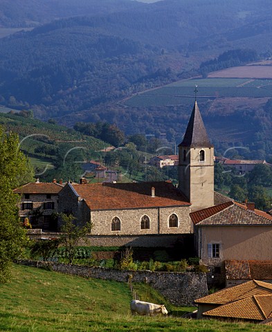 Hamlet of Les Ardillats with vineyards beyond  Near Beaujeu France   Beaujolais