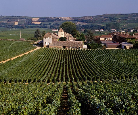 Chteau Fuiss and its vineyard   Fuiss SaneetLoire France   PouillyFuiss  Mconnais