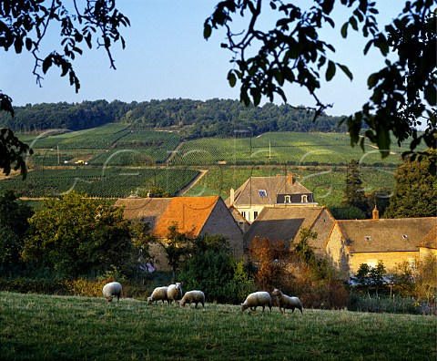 Chteau de la Saule in the village of Montagny SaneetLoire France Cte Chalonnaise