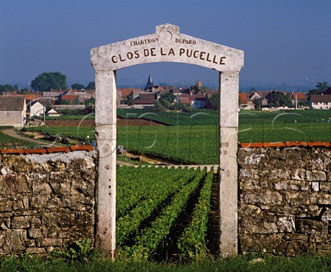 Gateway to Clos de la Pucelle vineyard with   PulignyMontrachet beyond Cte dOr France   Cte de Beaune Premier Cru
