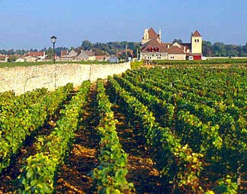 Chteau de la Tour in the Clos de Vougeot vineyard   Vougeot Cte dOr France Ctes de Nuits