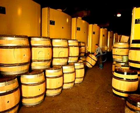 New oak barrels in chai of MoillardGrivot   NuitsStGeorges Cte dOr France