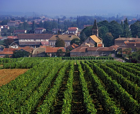 Village of Vir and its cooperative winery   SaneetLoire France  MconVir  Mconnais
