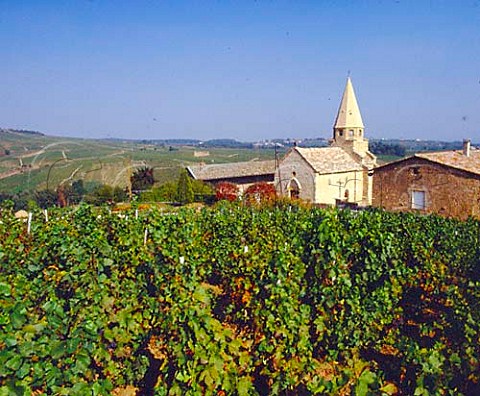 StVrand church viewed over vineyard   SaneetLoire France  StVran   Mconnais