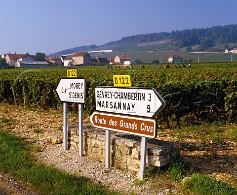 Road signs on the Route des Grands Crus at   MoreyStDenis Cte dOr France   Cte de Nuits