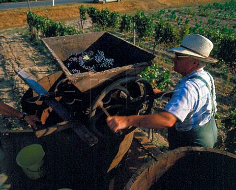 Crushing harvested grapes in the vineyard   near Mussidan Dordogne France