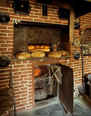 Baking bread in a woodfired oven   La Roquette near Perigueux Dordogne France