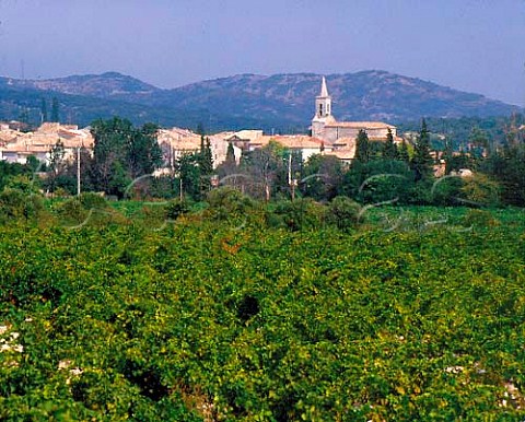 Lirac viewed over vineyard Gard France