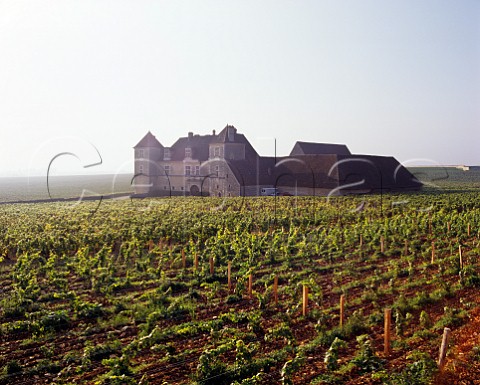 Chteau du Clos de Vougeot on a misty morning Vougeot Cte dOr France  Cte de Nuits