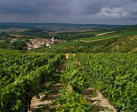 Vineyards surround village of Irancy Yonne France  AC Bourgogne Irancy