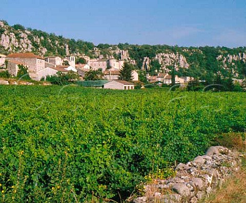 Vineyard at Vog in the Ardche Valley   Ardeche France  Coteaux de lArdche