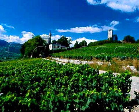 Vineyards at Chignin near Chambery Savoie France