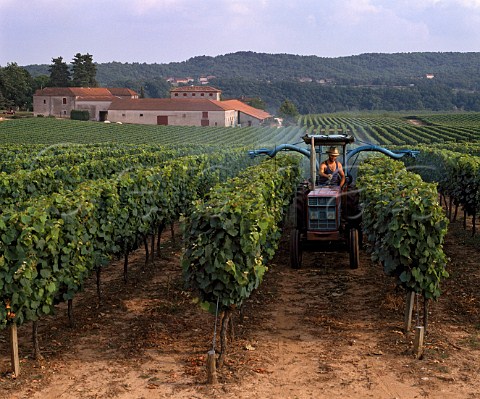 Spraying vineyard with Copper Sulphate   Chteau les Bouysses Mercus Lot France   Cahors