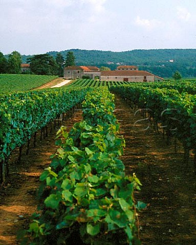 Chteau les Bouysses and vineyard of   Les Ctes dOlt Mercus Lot France  Cahors