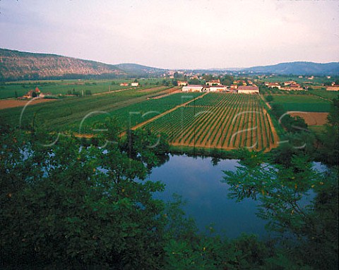 Vineyards and River Lot at Parnac Lot France   Cahors