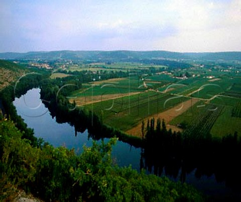 Vineyards by the River Lot between Parnac and   Caillac Lot France  AC Cahors
