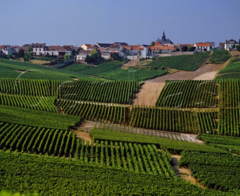 Village of Cramant above its vineyards on the   Cte des Blancs south of pernay Marne France  Champagne