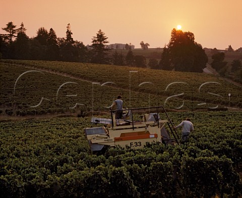 Machine harvesting of Merlot grapes in vineyard near   Stmilion Gironde France   Saintmilion  Bordeaux