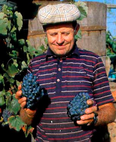 Vigneron with bunches of grapes Near Mussidan Dordogne France