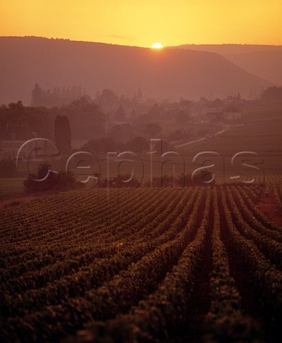 Sunset over vineyards with AuxeyDuresses in distance Cte dOr France Cte de Beaune