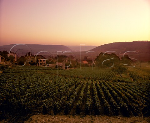 Sunset over Monthelie and its vineyards Cte dOr  France   Cte de Beaune
