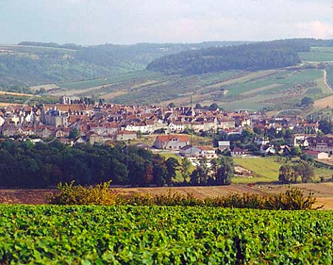 Vineyards above SaintBrisleVineux near Auxerre   Yonne France      Bourgogne  Sauvignon de   SaintBris