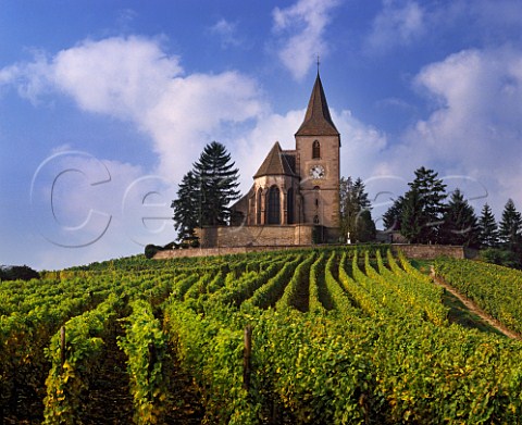 15thcentury fortified church surrounded by  vineyards at Hunawihr HautRhin France  Alsace