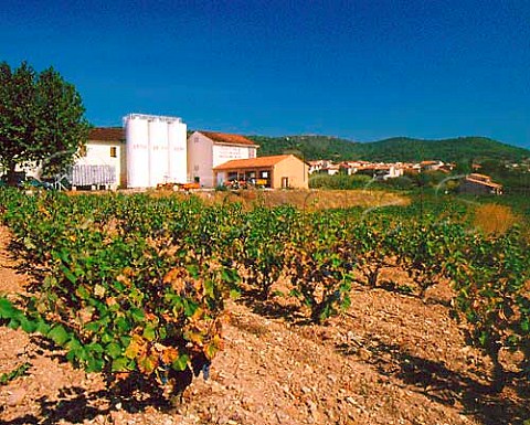 Cooperative winery Cellier StSidoine at   PugetVille Var France   AC Ctes de Provence