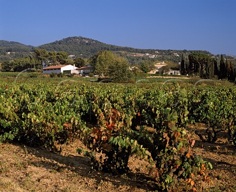 Domaine Tempier and its vineyard Le PlanduCastellet Var France   AC Bandol