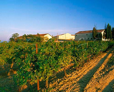 Chais of Chteau de Fonscolombe viewed over its   vineyard     Le PuySainteRparade   BouchesduRhne France      Coteaux dAixenProvence