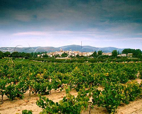 Vineyards at Lourmarin Vaucluse France   Ctes du Lubron