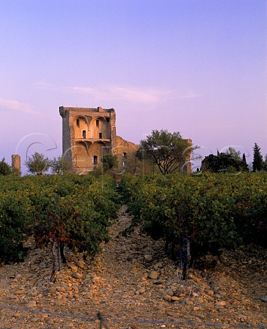 The ruins of the papal chteau viewed over   the galettecovered Clos des Papes   ChteauneufduPape Vaucluse France