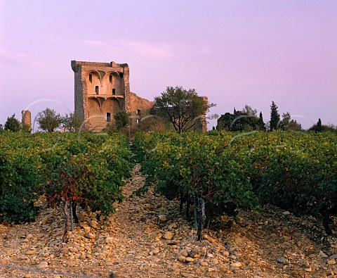 The ruins of the papal chteau viewed over the Clos   des Papes vineyard  ChteauneufduPape Vaucluse   France