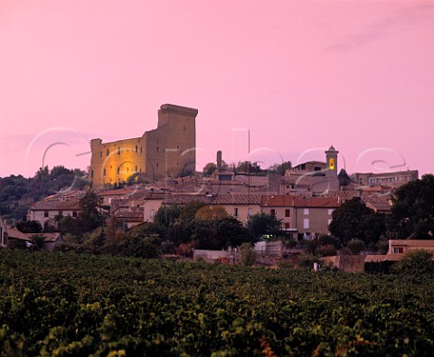 Dusk falls over ChteauneufduPape and the ruins of the papal chteau which dominate the town  Vaucluse France