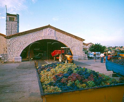 Unloading harvested grapes at the Tavel cooperative  Gard France  Tavel  Ctes du Rhne