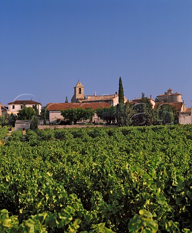 Village of Vacqueyras viewed over vineyard Vaucluse France Ctes du Rhne