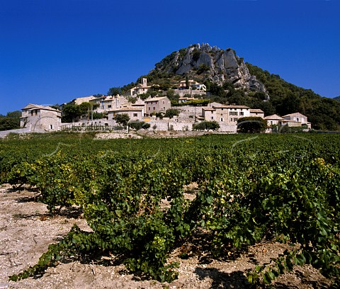 Village of Sguret viewed over Grenache vineyard   Vaucluse France    Ctes du RhneVillages