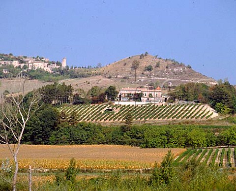 Vineyards at AoustesurSye in the Drme Valley near Crest Drme France  Clairette de Die