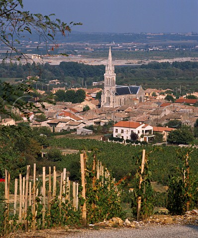 Syrah vineyard above Cornas and the Rhne Valley   Ardche France