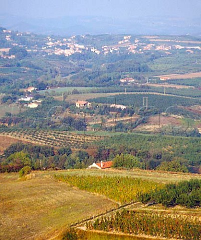Vineyards of CrozesHermitage with village of   Larnage in distance  Drme France