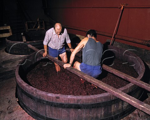 The traditional method of submerging the grape skin  cap on a vat of fermenting Syrah grapes Chapoutier Tain lHermitage Drme France    Hermitage