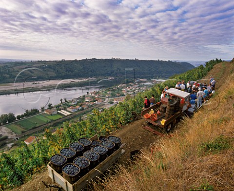 Marcel Guigal and his pickers have breakfast on the   steep slopes of the Cte Rtie above Ampuis and the River Rhne Rhne France