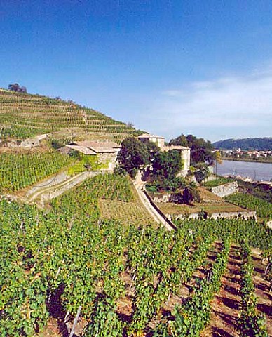 Chateau Grillet surrounded by its amphitheatre of   Viognier vines above the Rhone south of Condrieu   Rhone