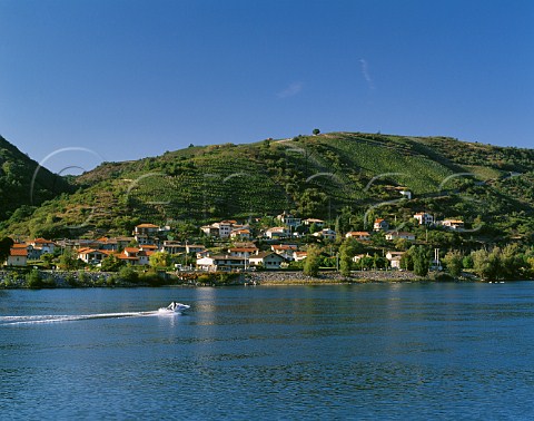 Vineyards of the CteRtie above Ampuis and the River Rhne Rhne France