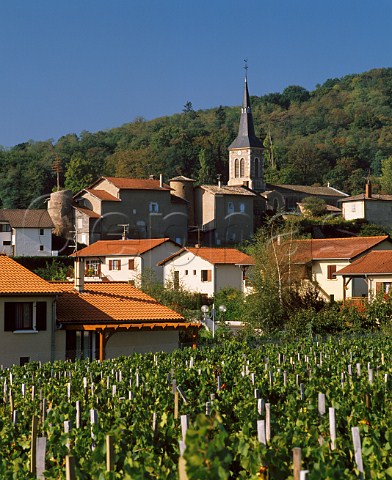 Village and church of Odenas Rhne France  Brouilly  Beaujolais