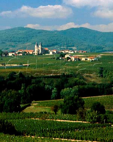 The village and twintowered church of Rgni    surrounded by its vineyards Rhne France     Rgni  Beaujolais