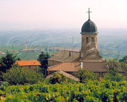 Church at Chiroubles viewed over Clos Verdy   vineyard Rhne France  Chiroubles  Beaujolais